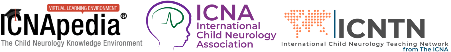 ICNA new header logo min
