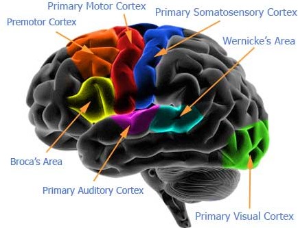 cerebral_palsy